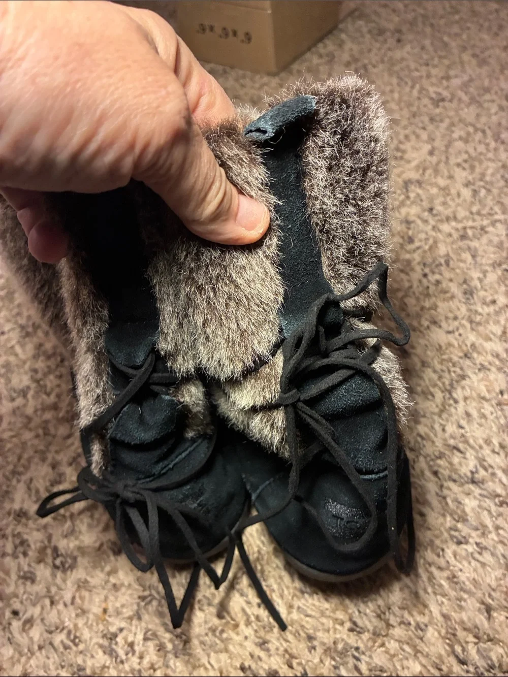 Toms suede shoe